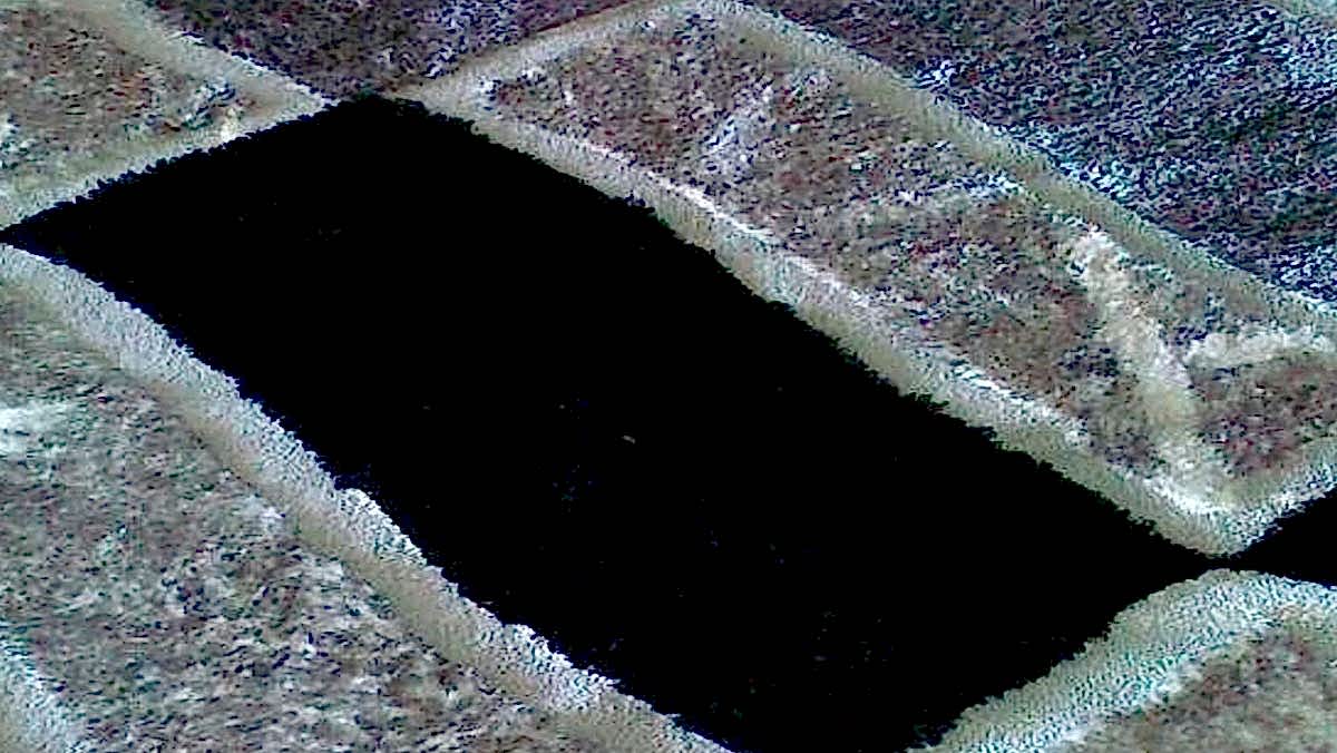 Ковер после химчистки