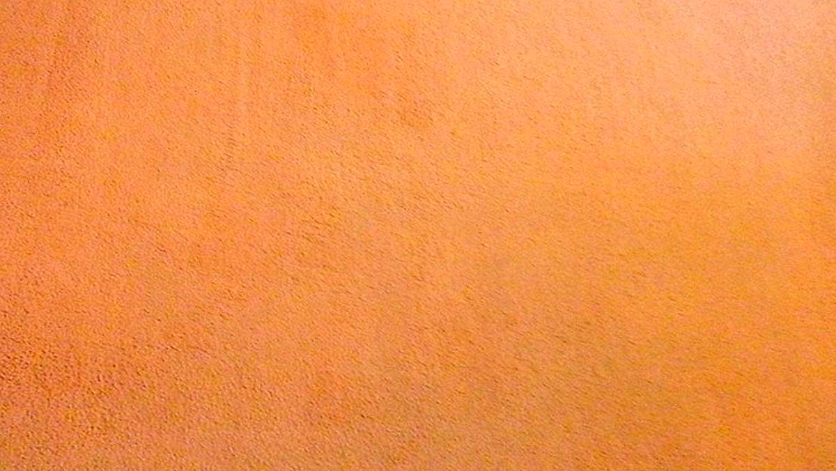 Палас до химчистки